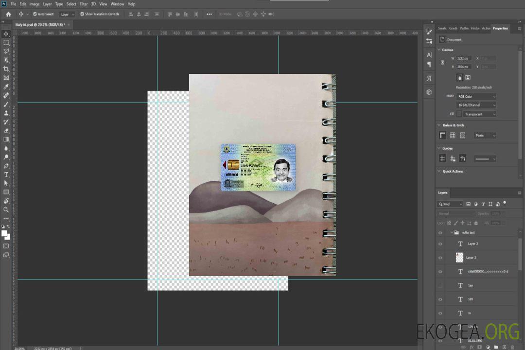 Modèle d'identification du Brésil (à partir de 2009) photolook AVANT template